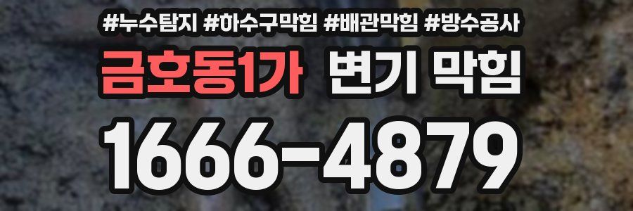 금호동1가 변기 막힘