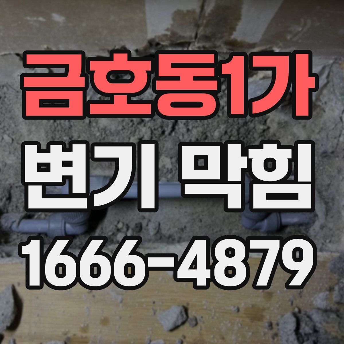 금호동1가 변기 막힘