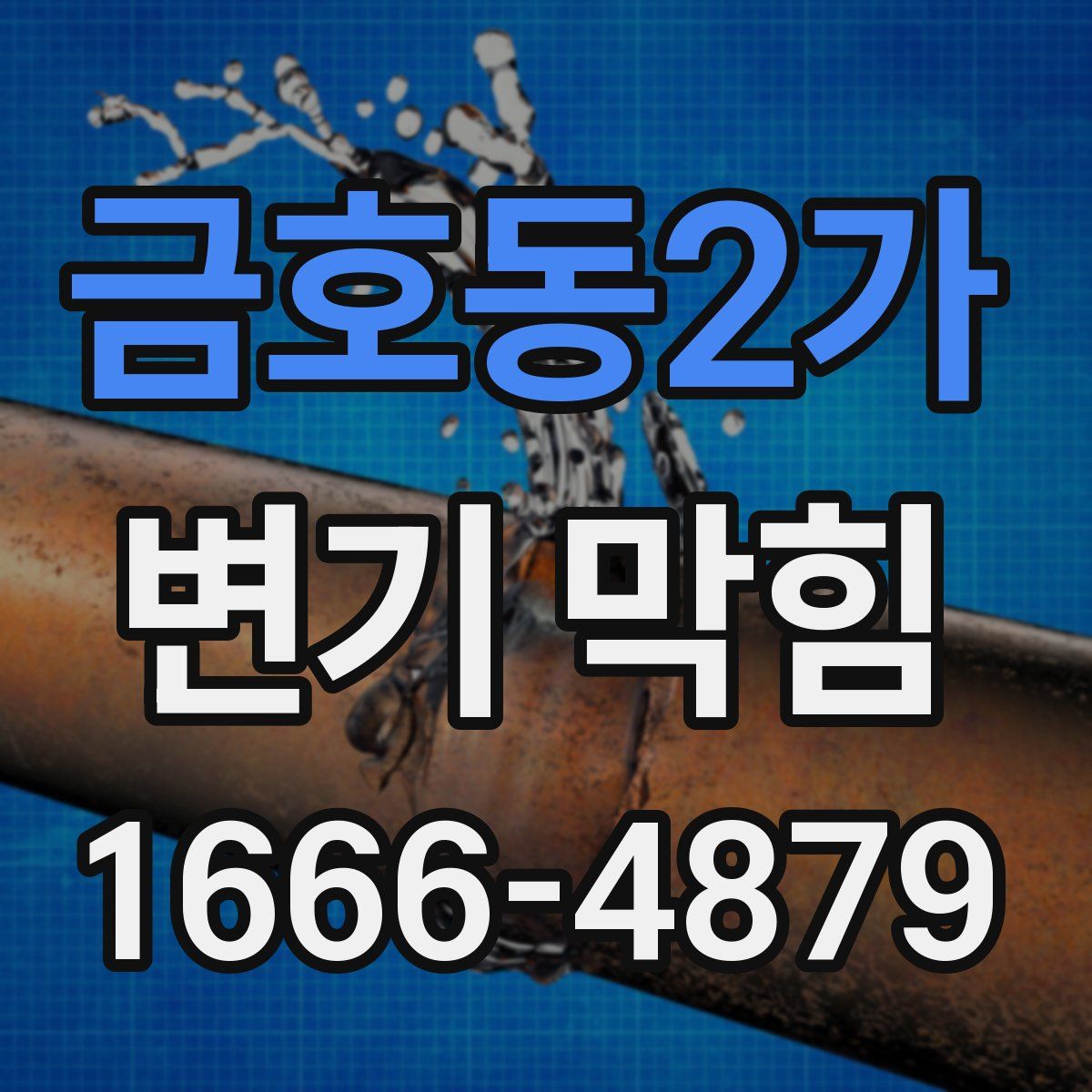금호동2가 변기 막힘
