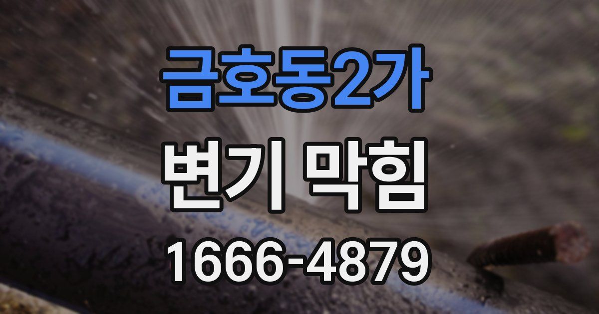 금호동2가 변기 막힘