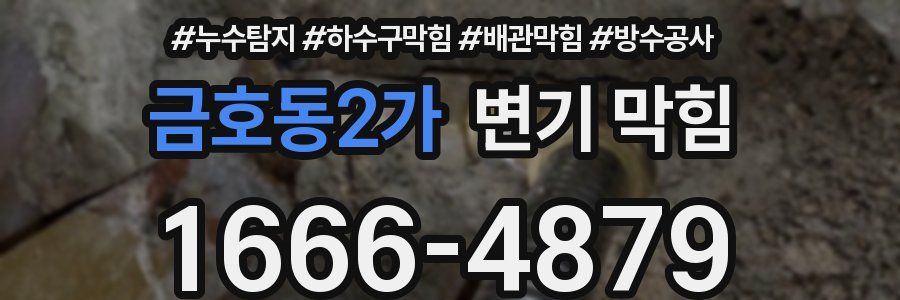 금호동2가 변기 막힘