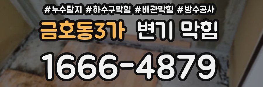 금호동3가 변기 막힘