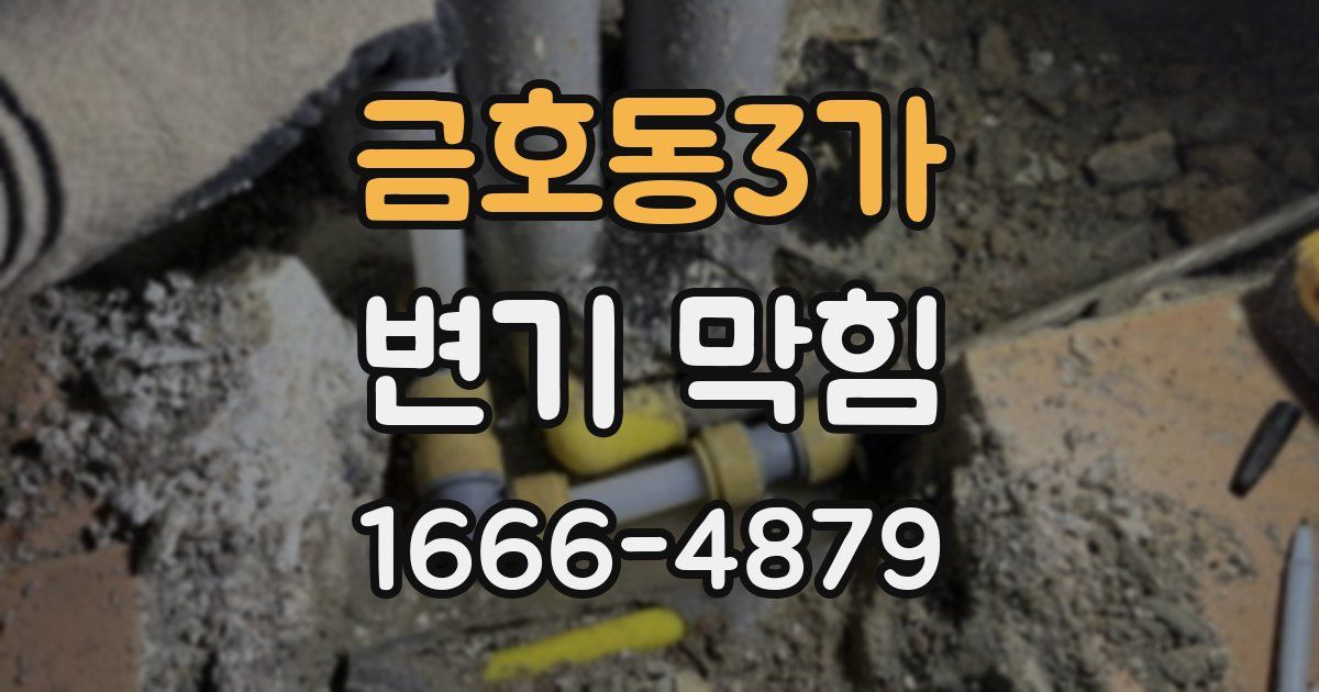 금호동3가 변기 막힘