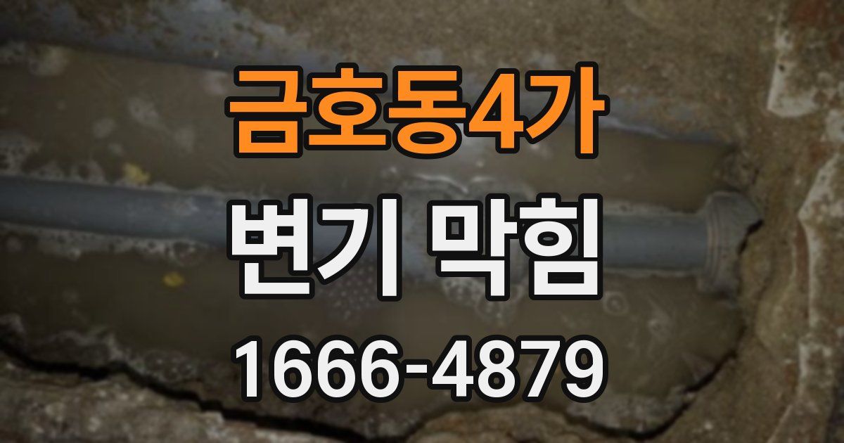 금호동4가 변기 막힘