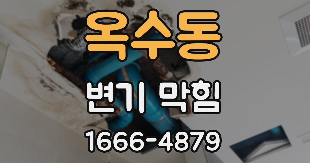 옥수동 변기 막힘