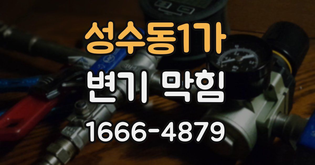 성수동1가 변기 막힘
