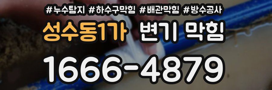성수동1가 변기 막힘