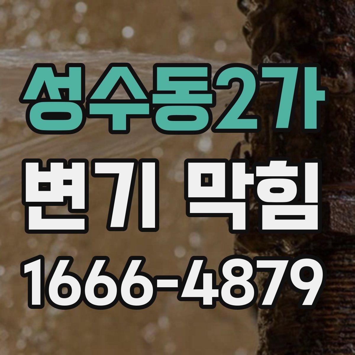 성수동2가 변기 막힘