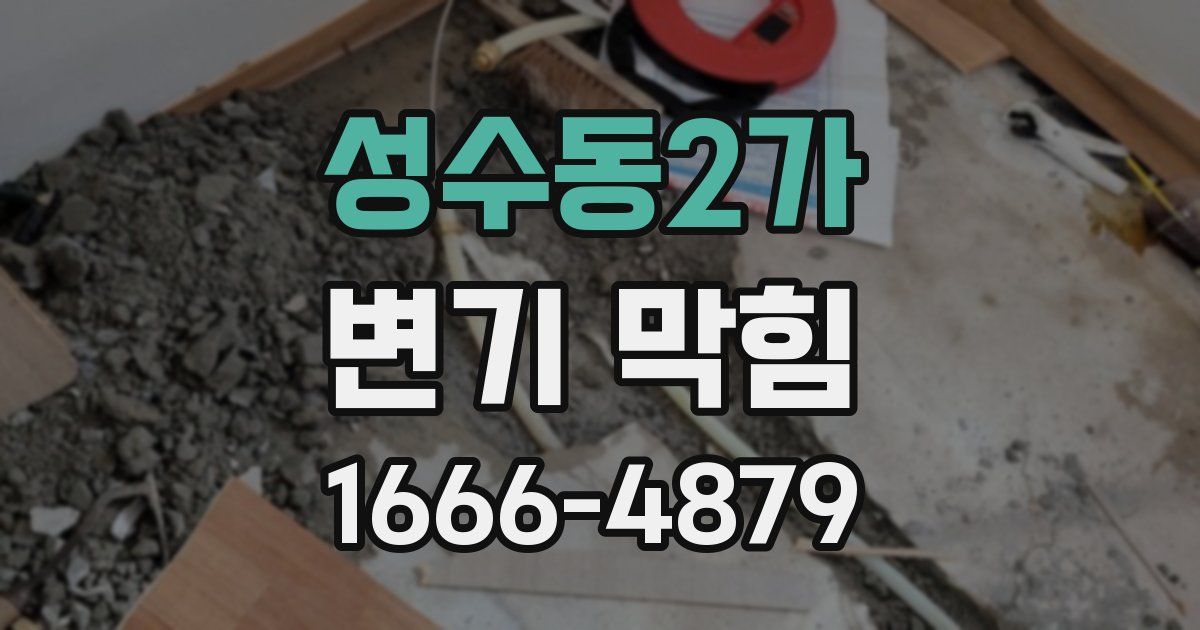 성수동2가 변기 막힘