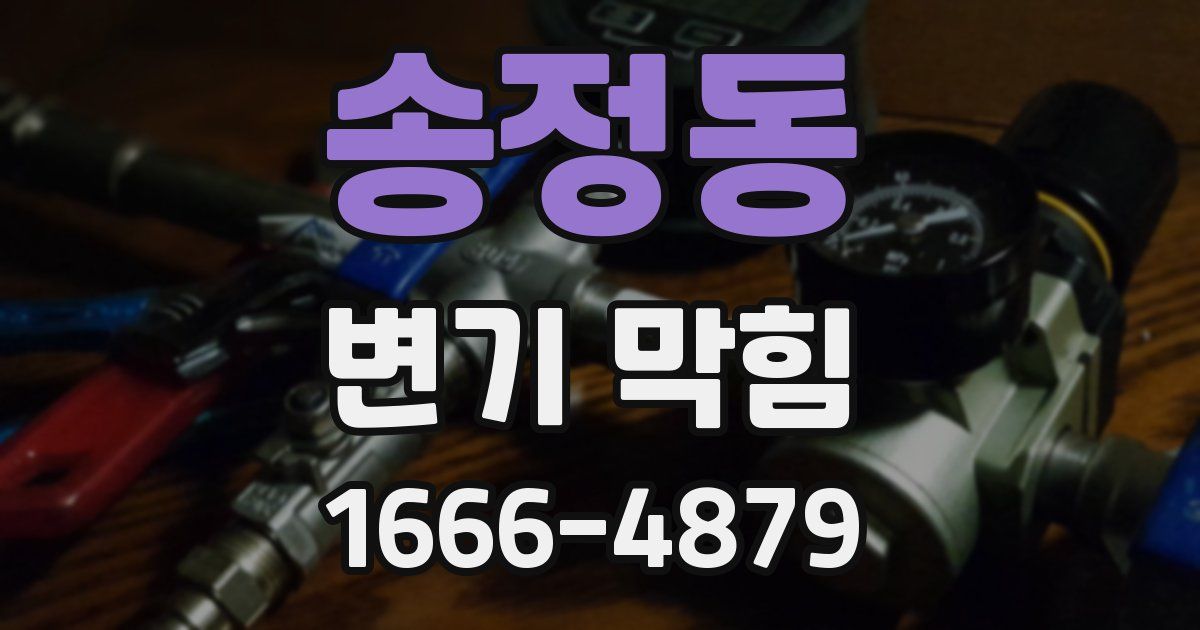 송정동 변기 막힘