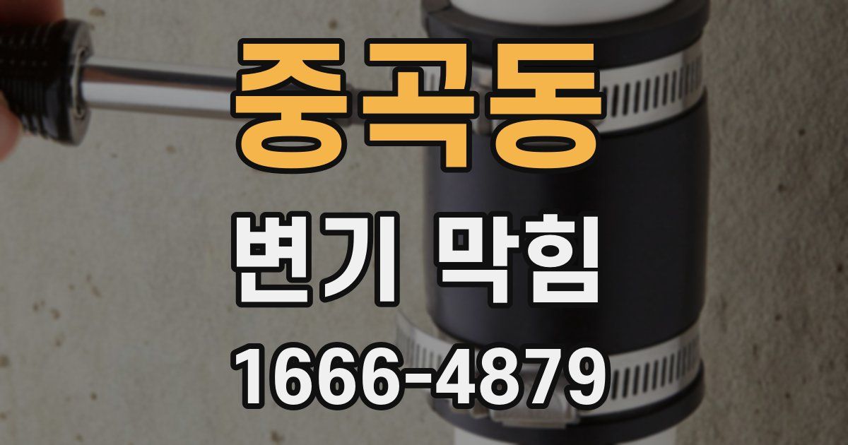 중곡동 변기 막힘