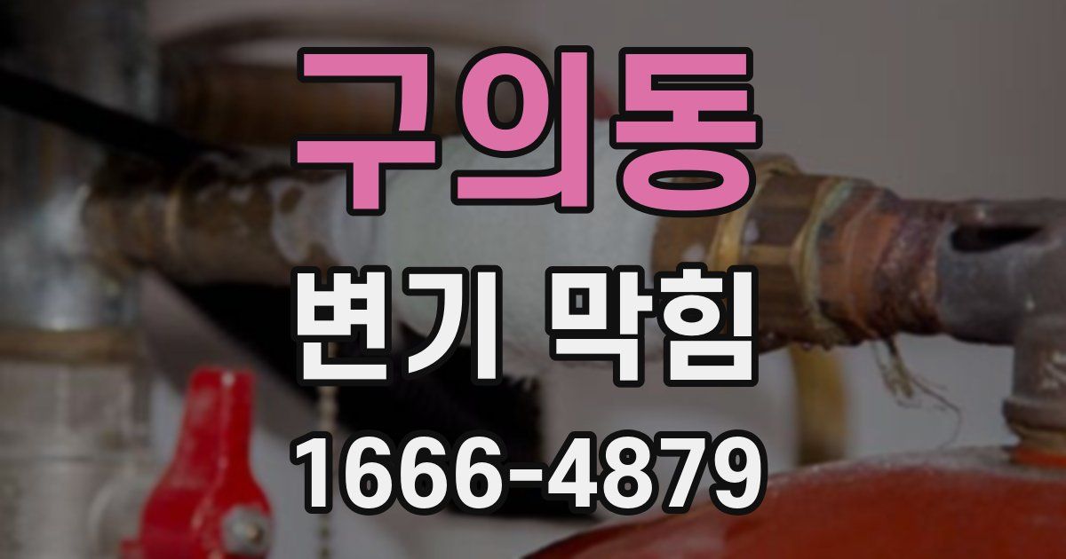 구의동 변기 막힘