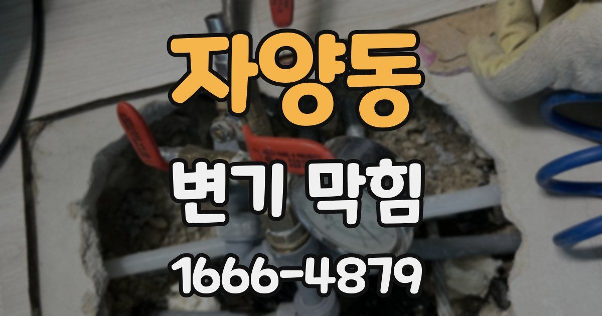 자양동 변기 막힘