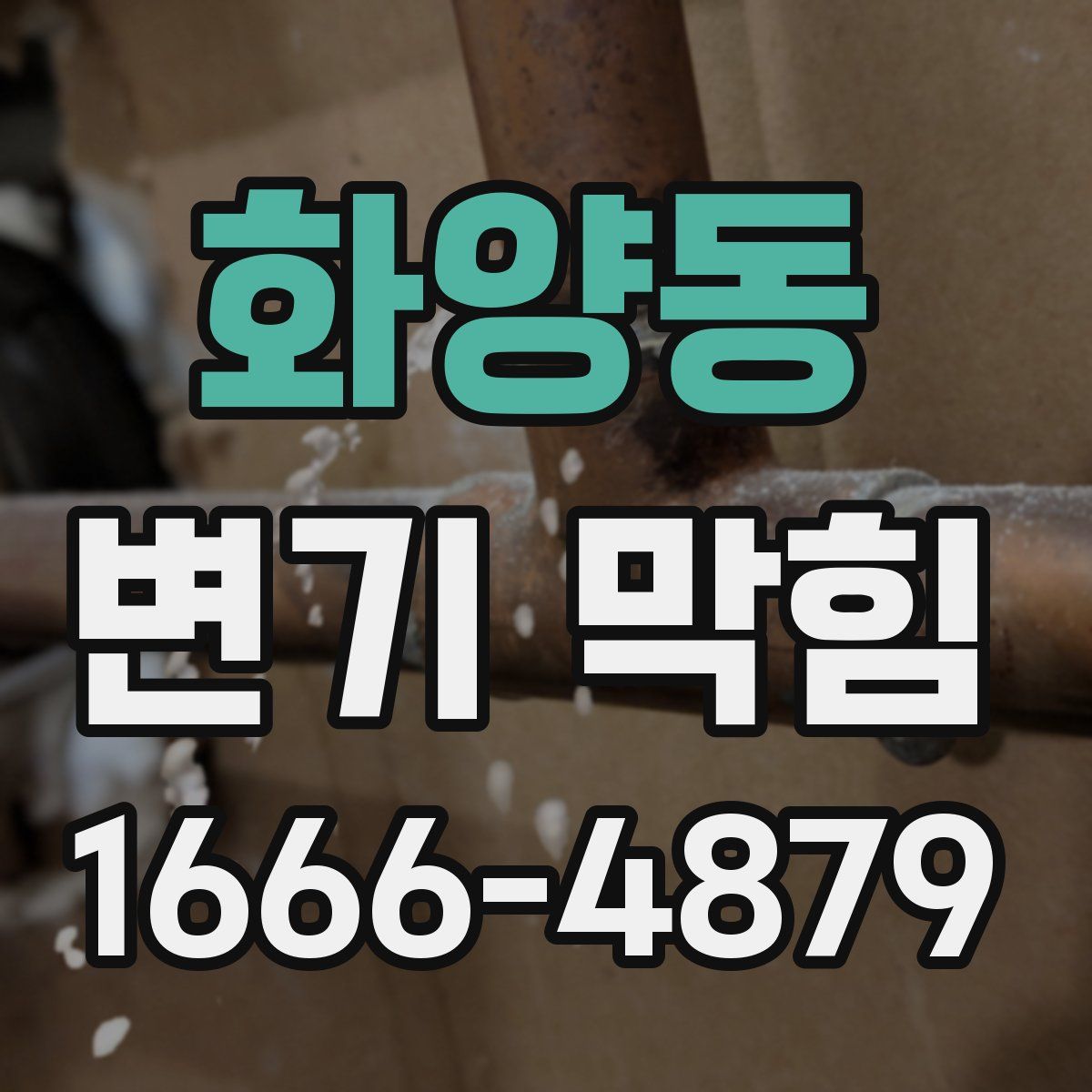 화양동 변기 막힘