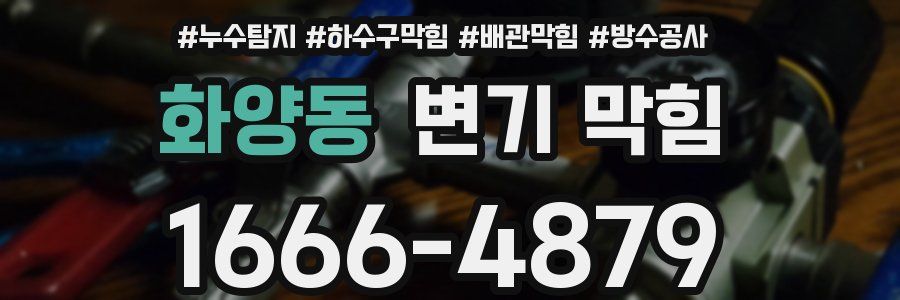 화양동 변기 막힘