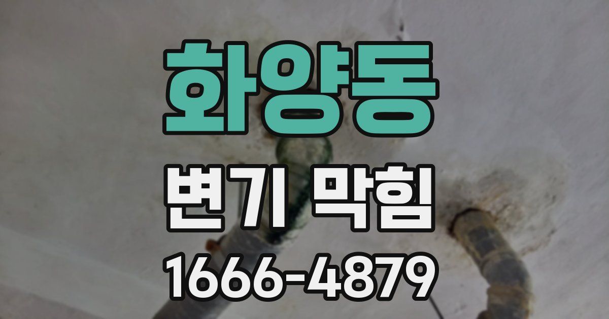 화양동 변기 막힘