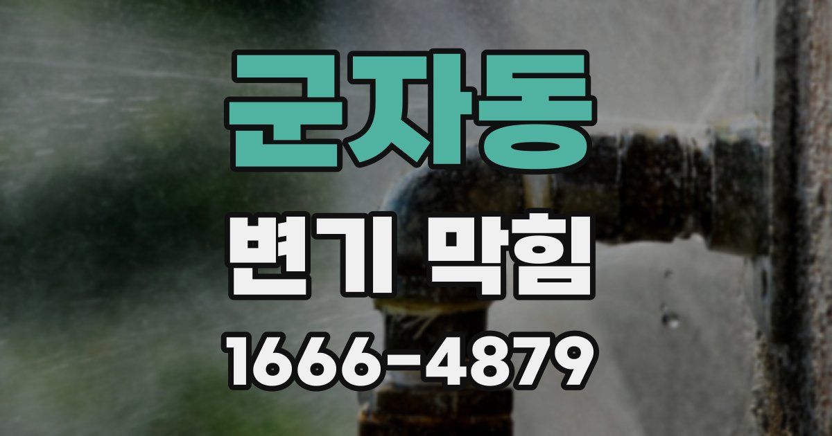 군자동 변기 막힘
