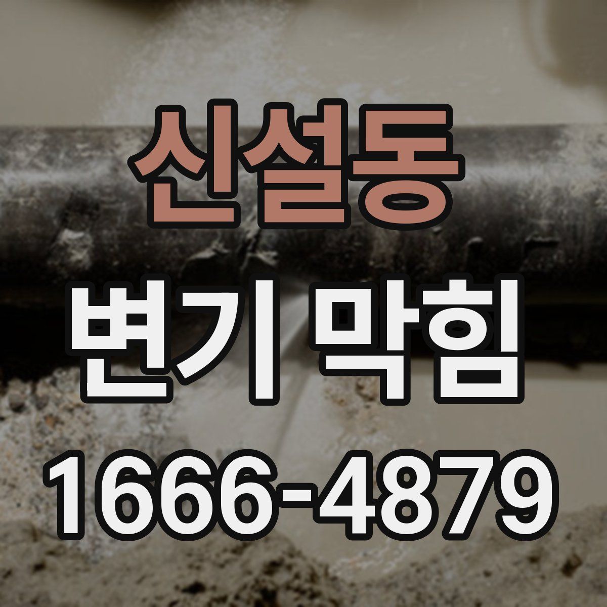 신설동 변기 막힘