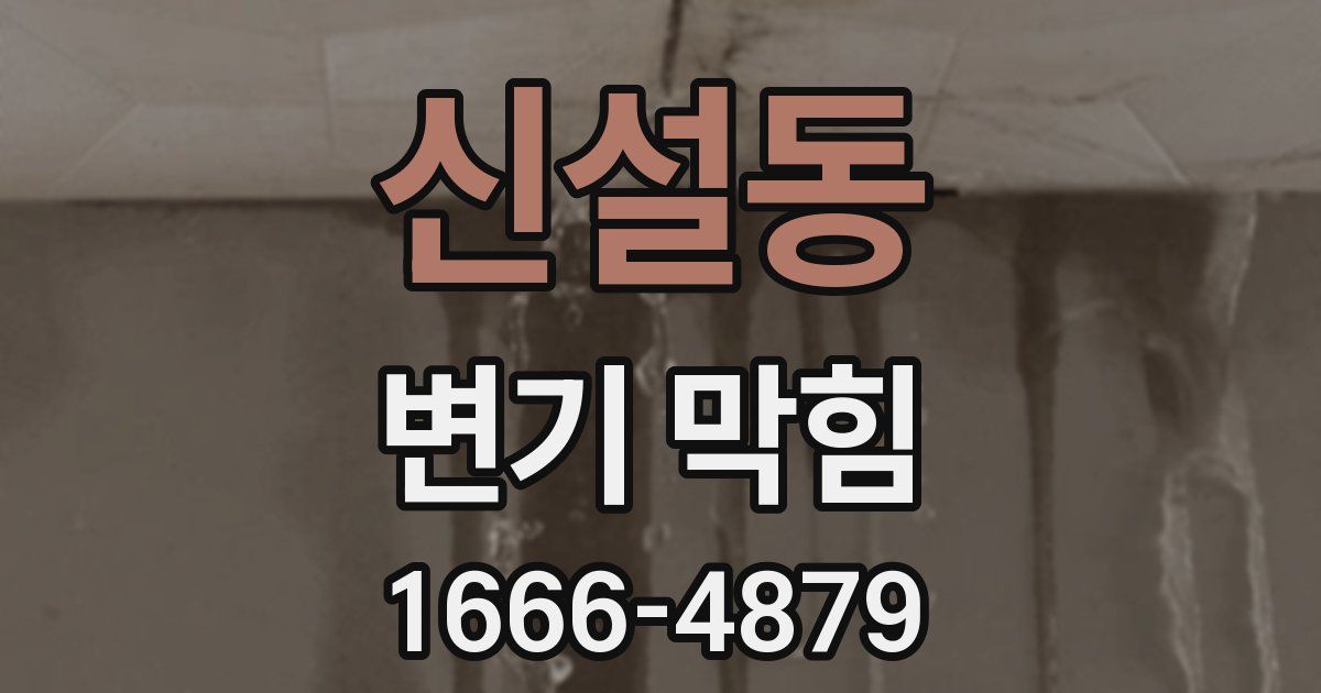 신설동 변기 막힘