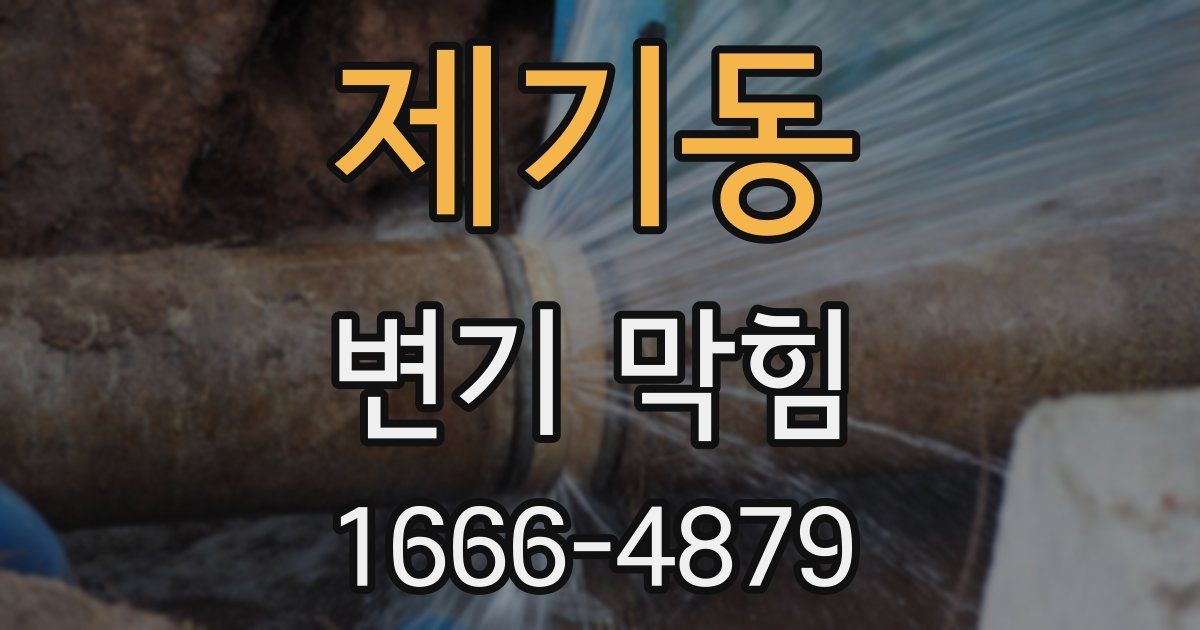 제기동 변기 막힘