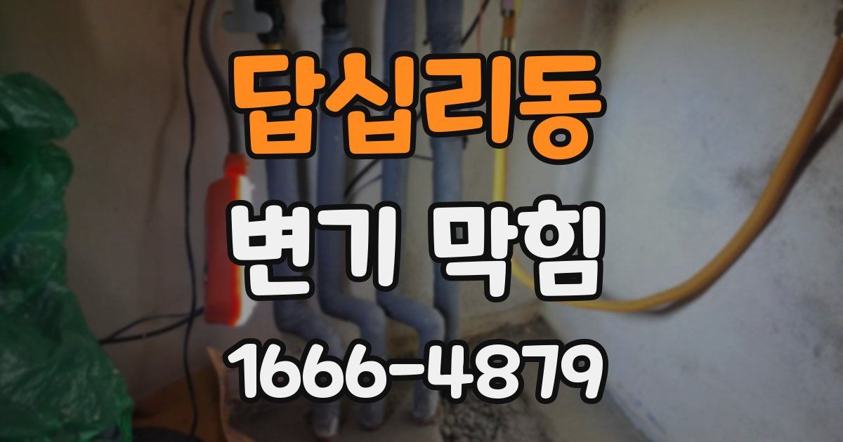 답십리동 변기 막힘