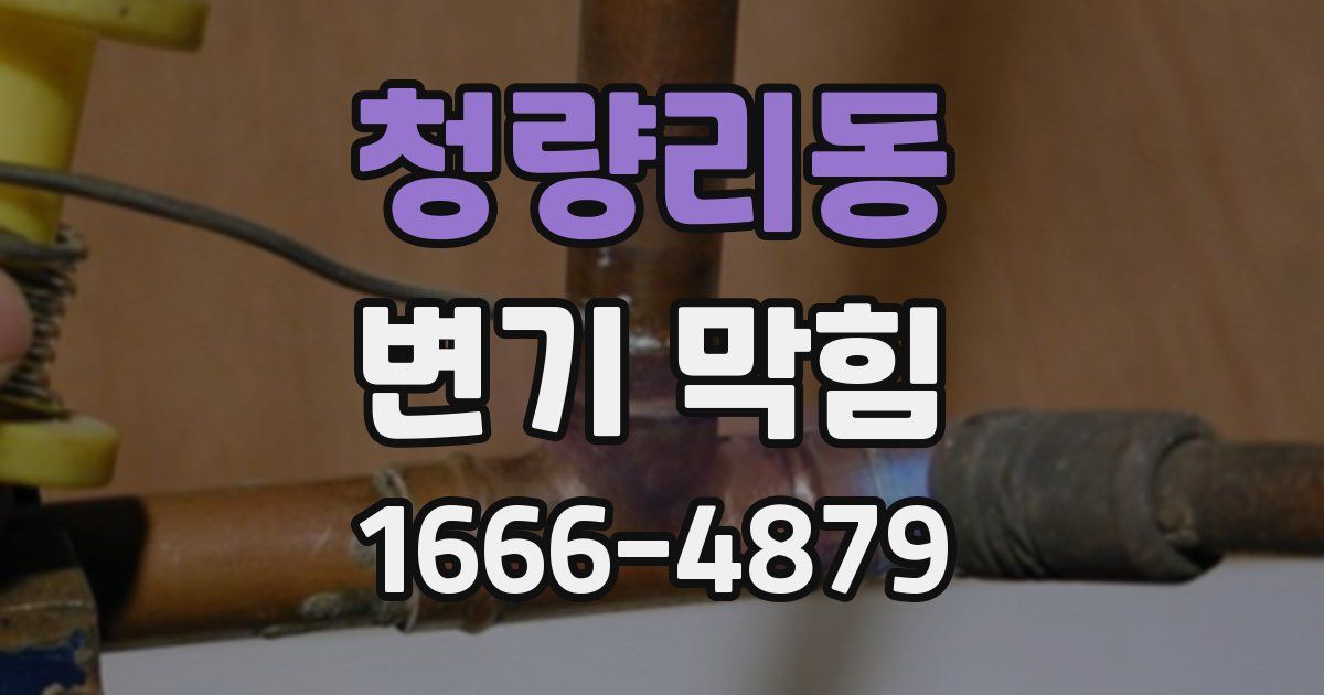 청량리동 변기 막힘