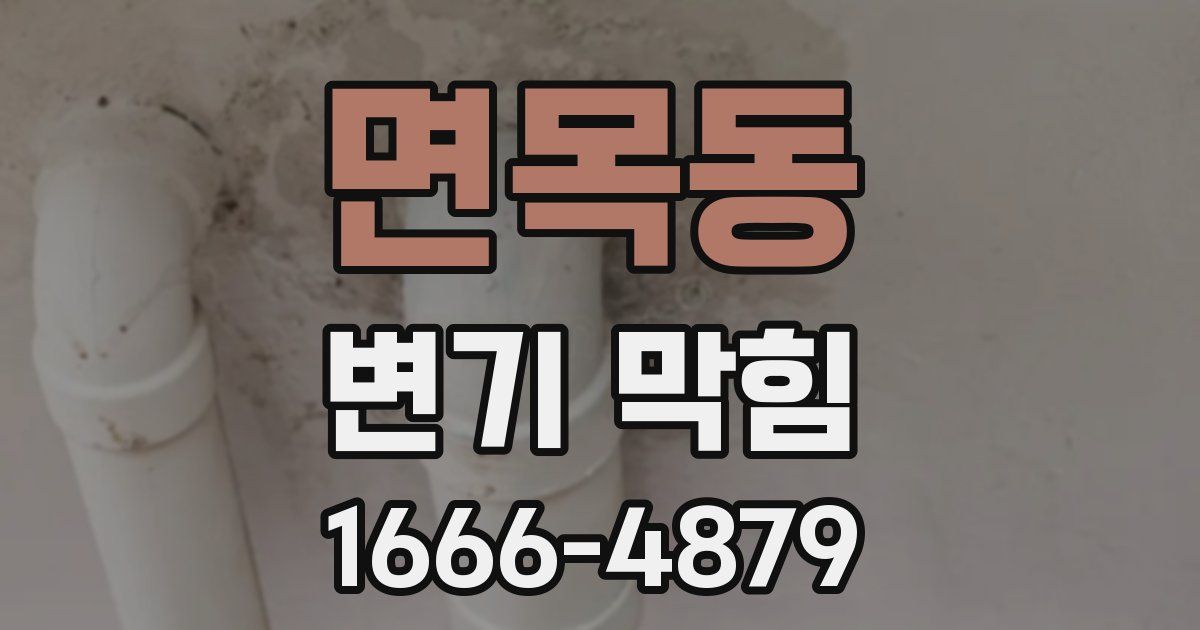 면목동 변기 막힘