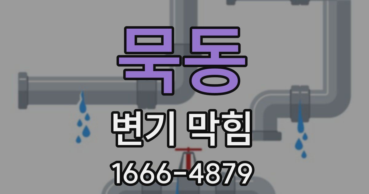 묵동 변기 막힘