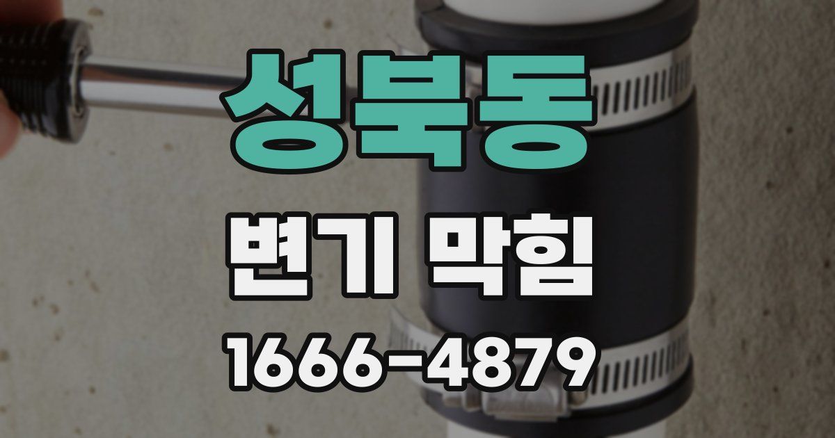 성북동 변기 막힘