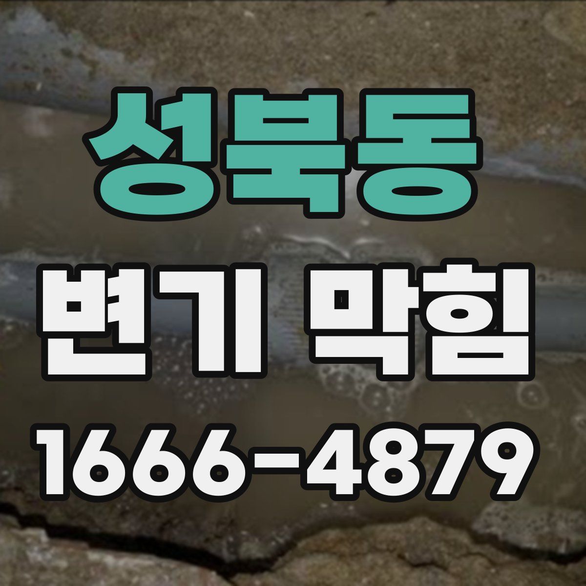 성북동 변기 막힘