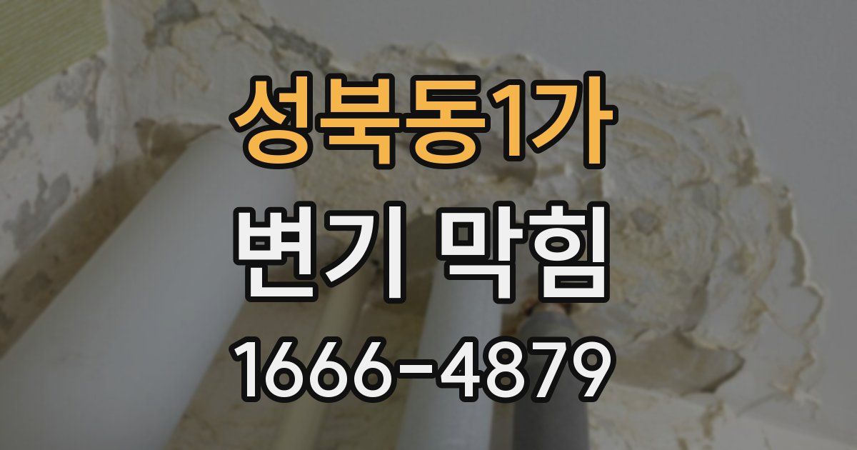 성북동1가 변기 막힘