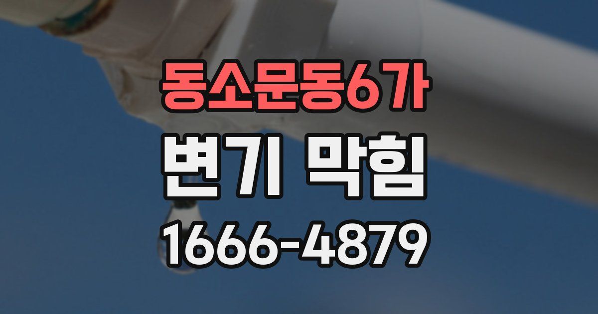 동소문동6가 변기 막힘