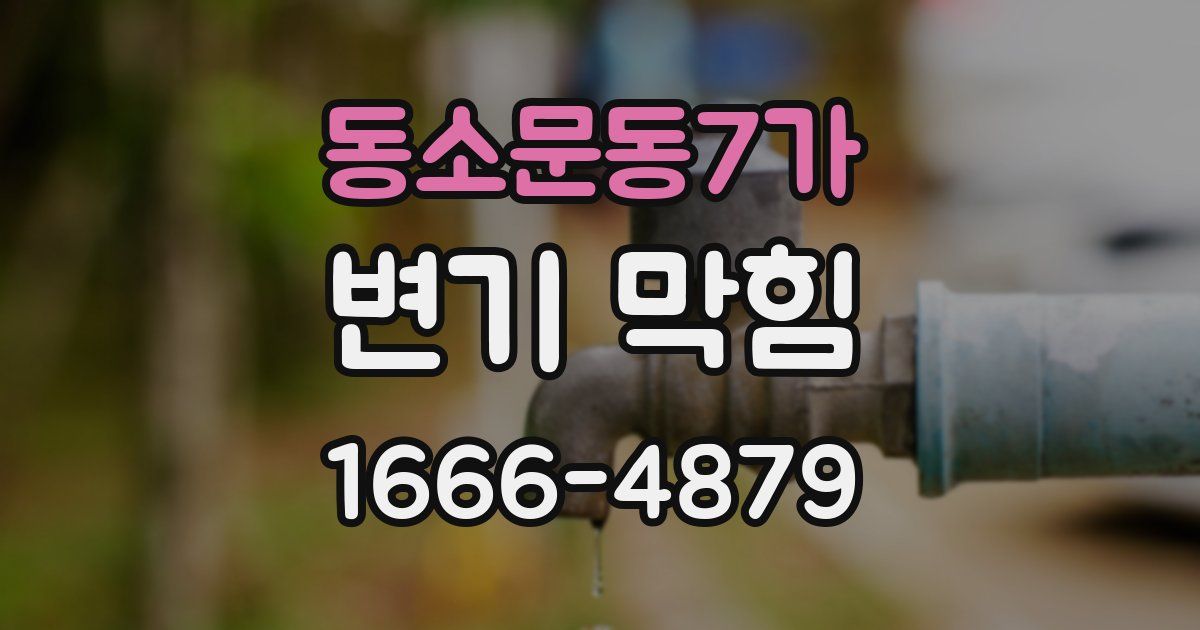 동소문동7가 변기 막힘