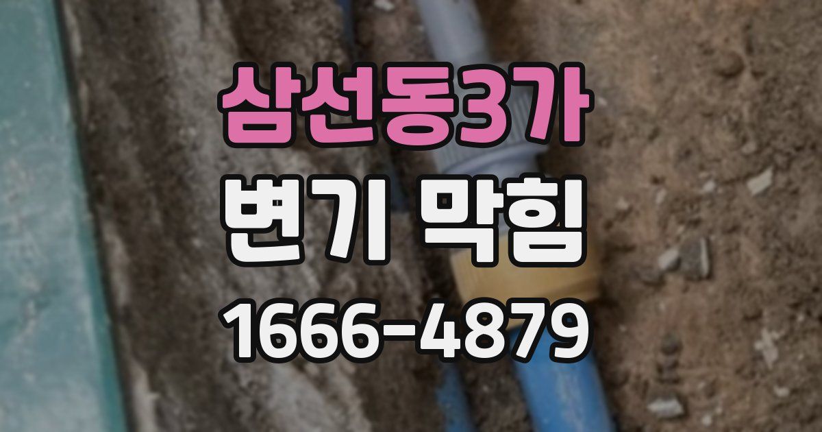 삼선동3가 변기 막힘