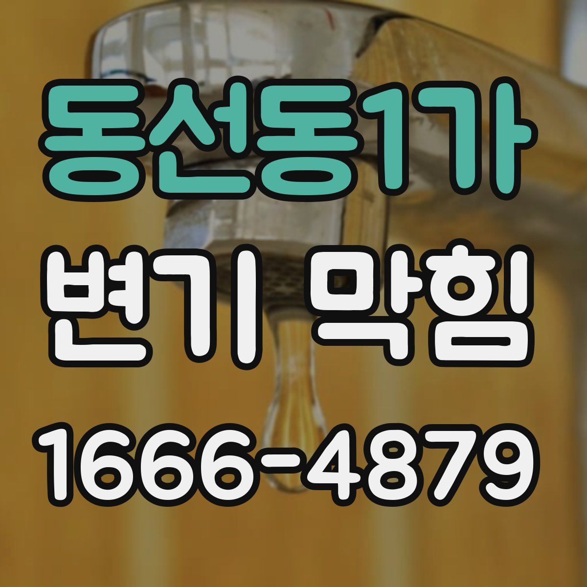 동선동1가 변기 막힘
