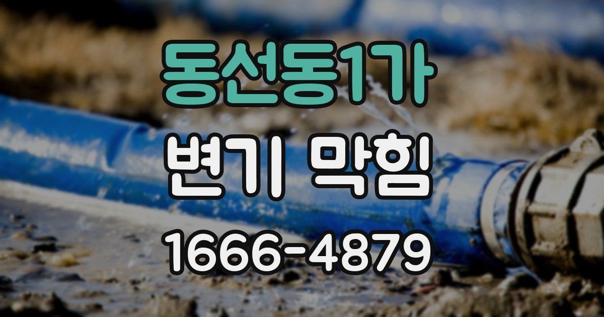 동선동1가 변기 막힘