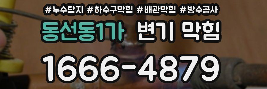 동선동1가 변기 막힘