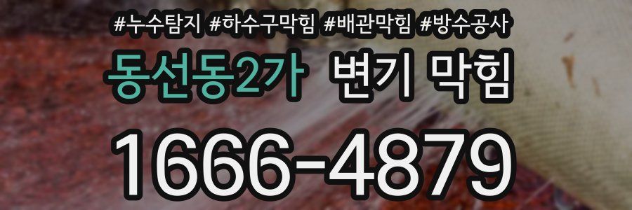 동선동2가 변기 막힘