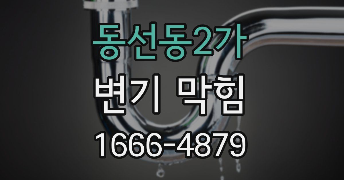 동선동2가 변기 막힘