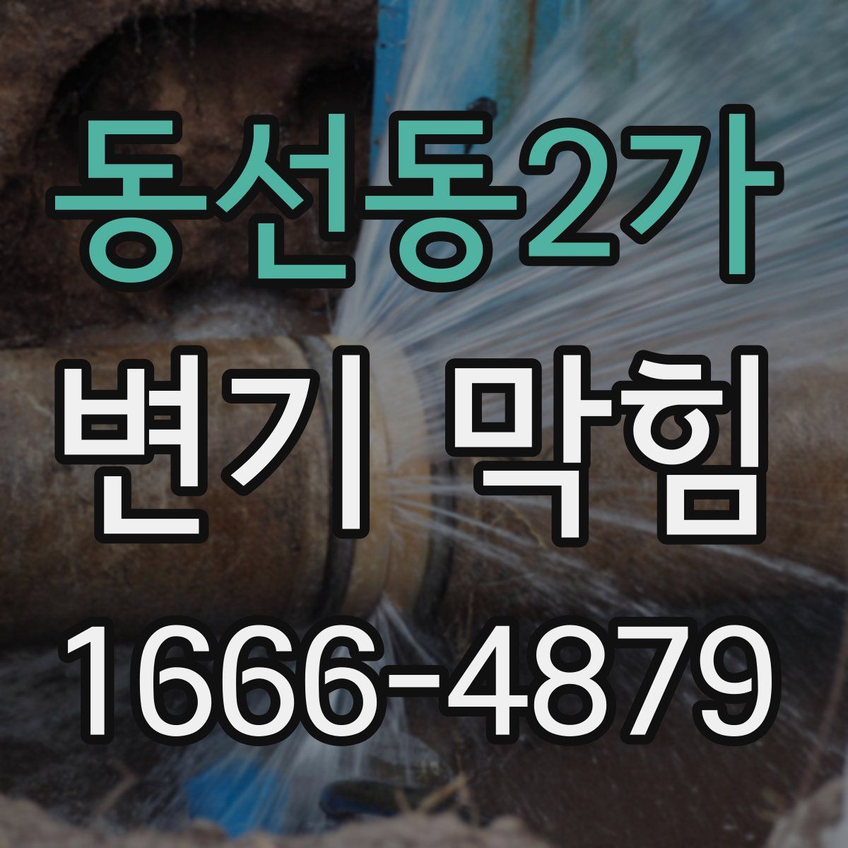동선동2가 변기 막힘