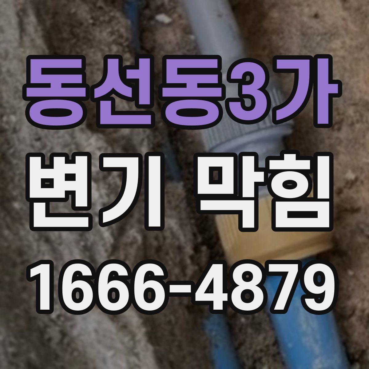 동선동3가 변기 막힘