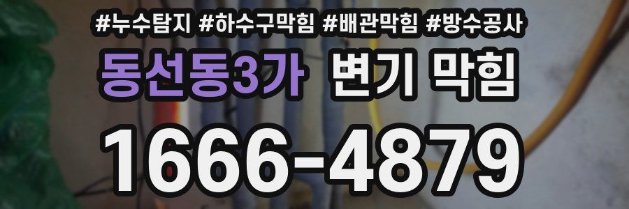 동선동3가 변기 막힘