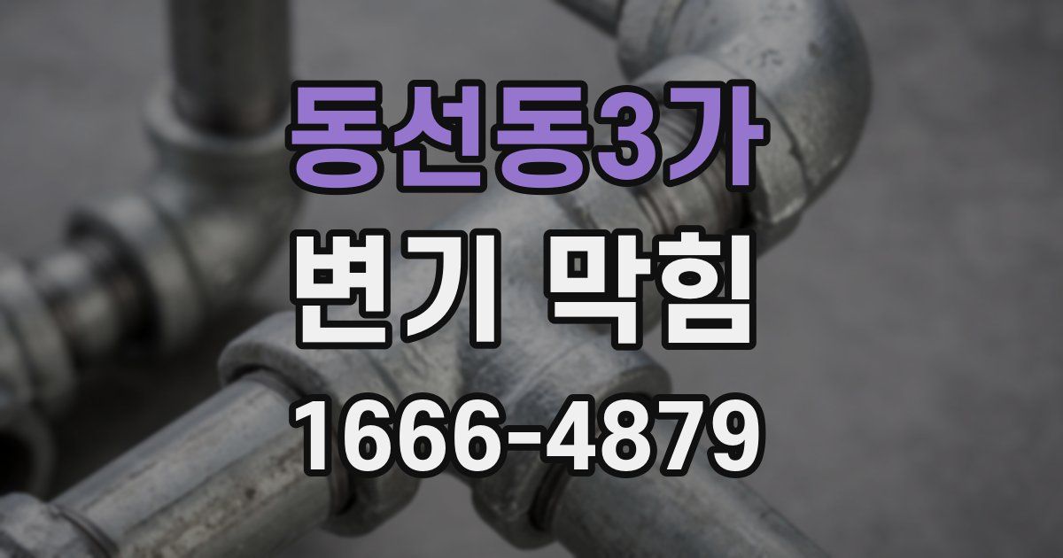 동선동3가 변기 막힘