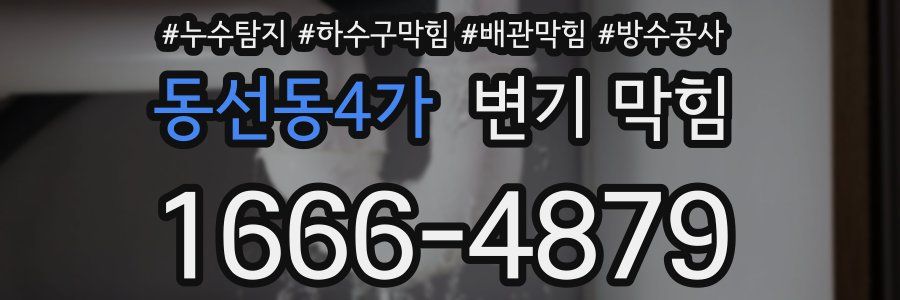 동선동4가 변기 막힘
