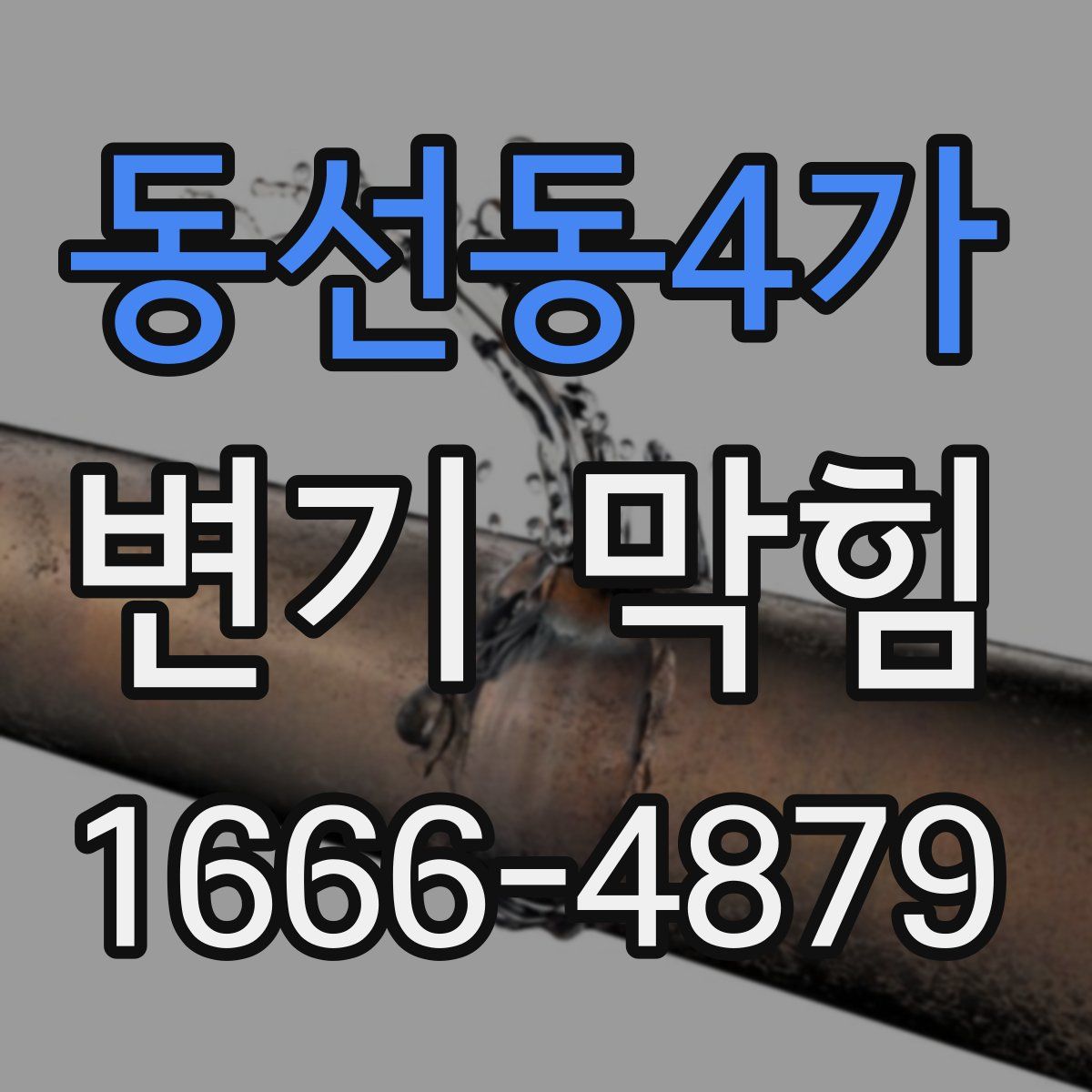 동선동4가 변기 막힘