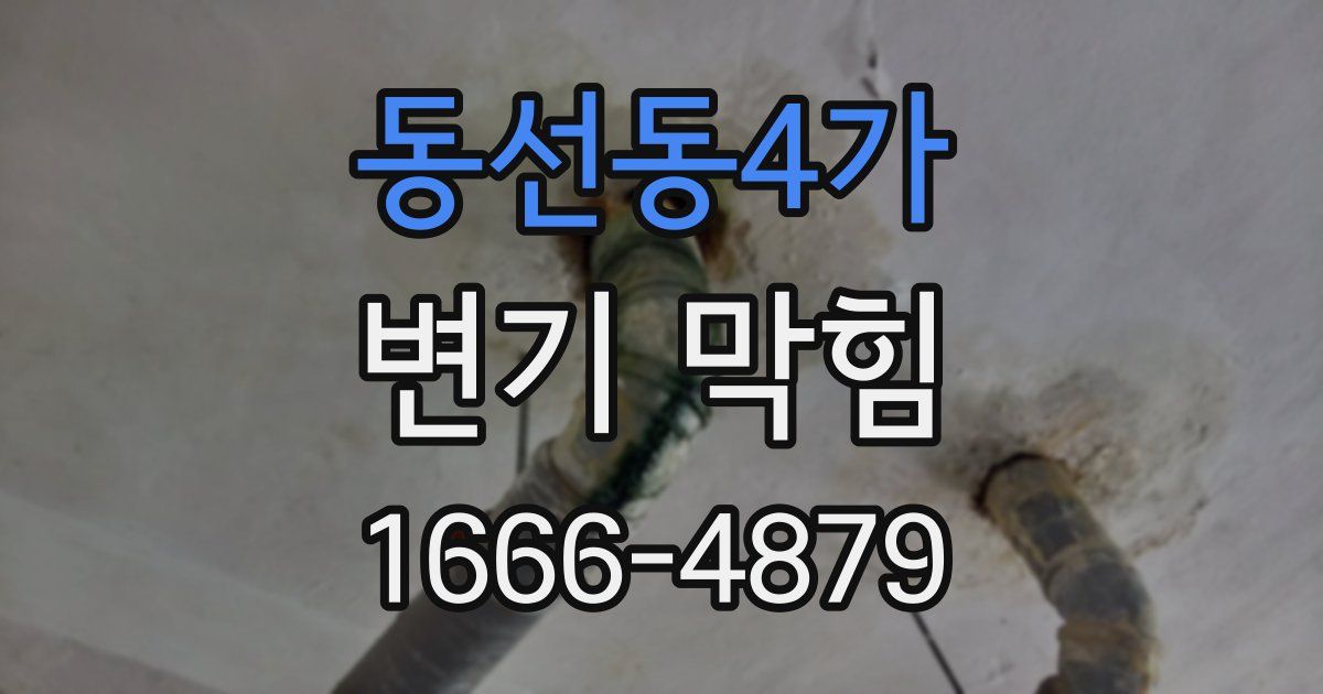 동선동4가 변기 막힘