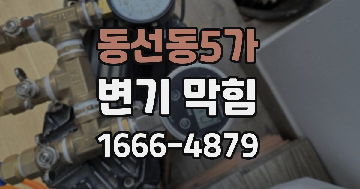 동선동5가 변기 막힘