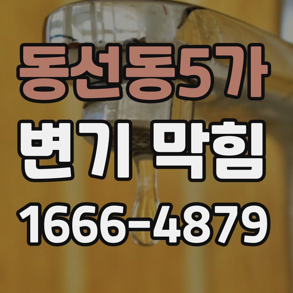 동선동5가 변기 막힘
