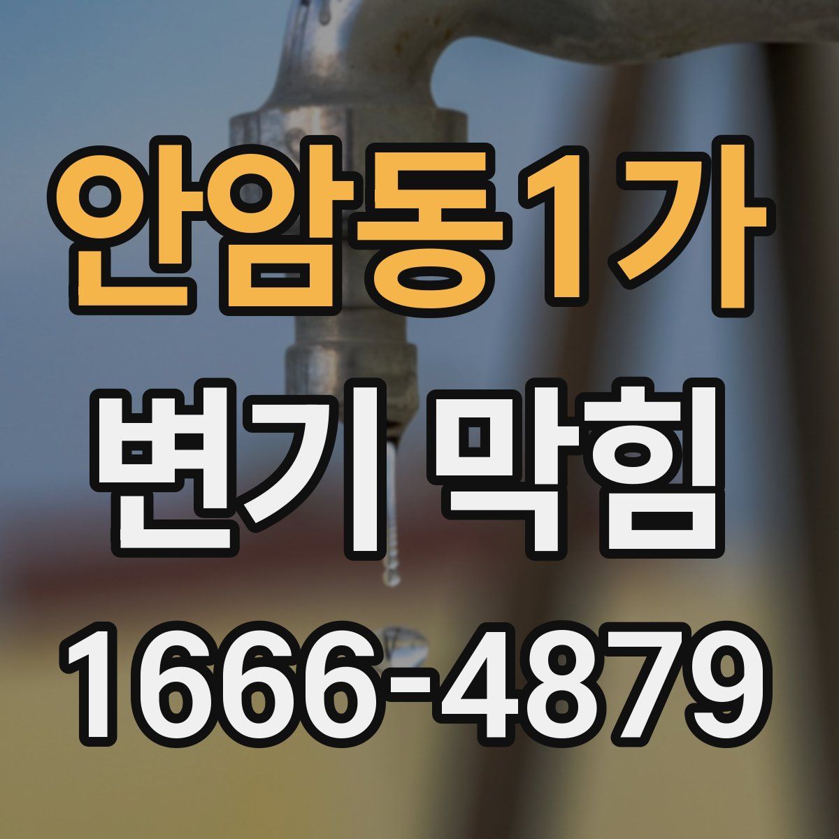 안암동1가 변기 막힘