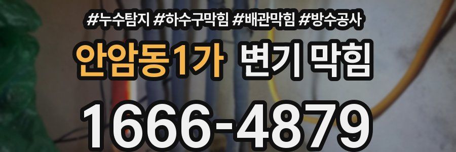 안암동1가 변기 막힘